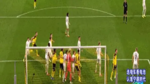 哈兰德射门引发桥冈大树意外自进球