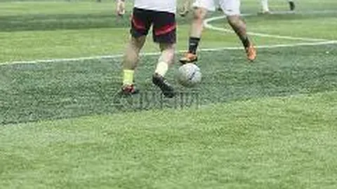 大乐透期号专家推荐质合分析：前区十码预测绞肉战